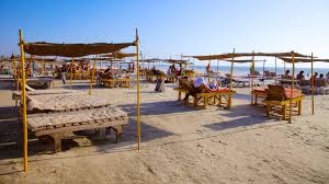 Local Goa Guide